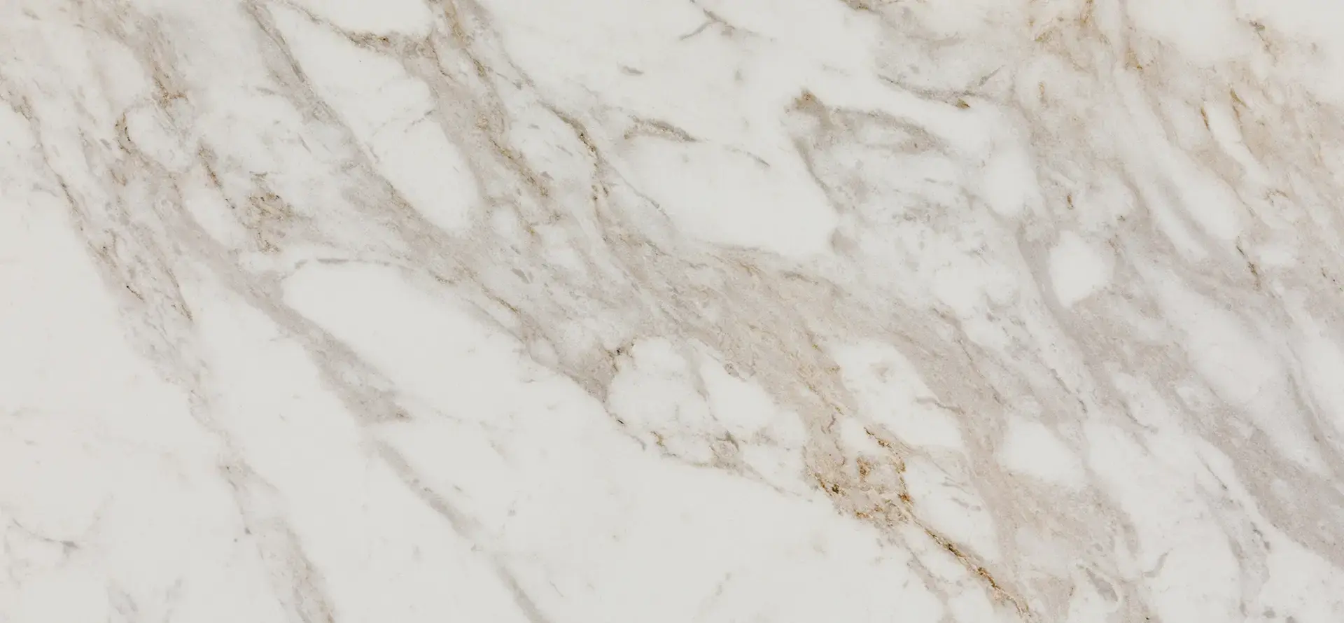A close-up of Caesarstone 582 Dolcivio porcelain surface, showcasing a soft white marble-look background with dramatic, intricate veining in grey, brown, and gold tones for fabricator reference.